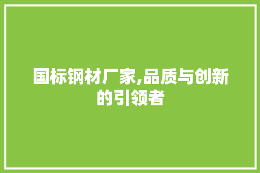 国标钢材厂家,品质与创新的引领者