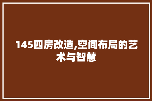 145四房改造,空间布局的艺术与智慧
