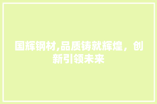 国辉钢材,品质铸就辉煌，创新引领未来