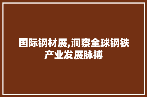 国际钢材展,洞察全球钢铁产业发展脉搏