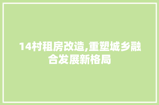14村租房改造,重塑城乡融合发展新格局