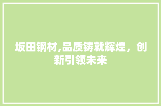坂田钢材,品质铸就辉煌，创新引领未来