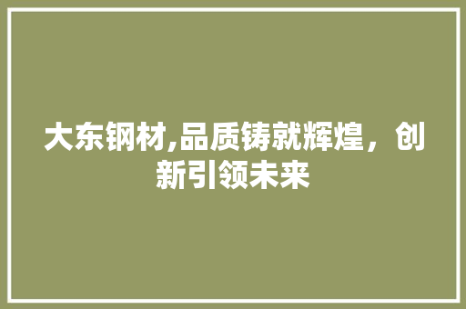大东钢材,品质铸就辉煌，创新引领未来