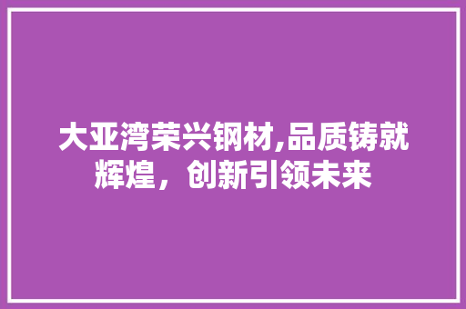 大亚湾荣兴钢材,品质铸就辉煌，创新引领未来