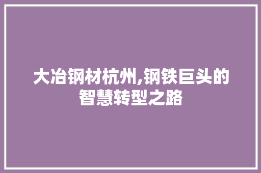 大冶钢材杭州,钢铁巨头的智慧转型之路