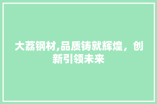 大荔钢材,品质铸就辉煌，创新引领未来
