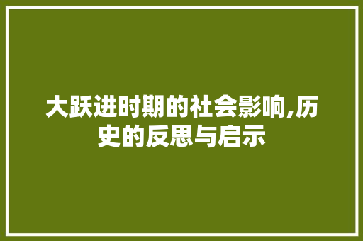 大跃进时期的社会影响,历史的反思与启示