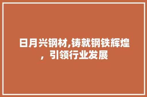 日月兴钢材,铸就钢铁辉煌，引领行业发展