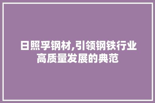 日照孚钢材,引领钢铁行业高质量发展的典范