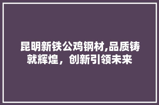 昆明新铁公鸡钢材,品质铸就辉煌，创新引领未来