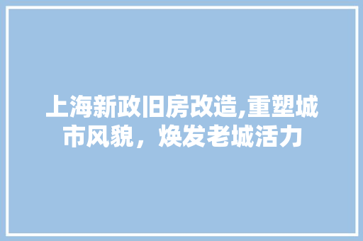 上海新政旧房改造,重塑城市风貌，焕发老城活力