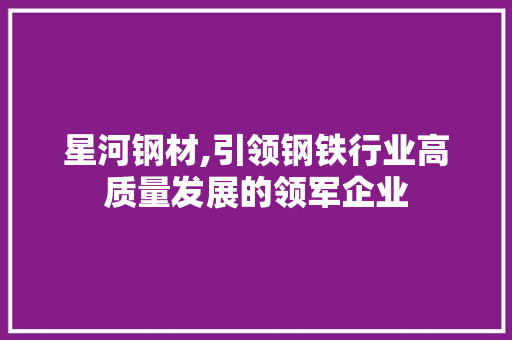 星河钢材,引领钢铁行业高质量发展的领军企业