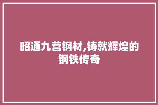 昭通九营钢材,铸就辉煌的钢铁传奇