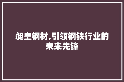 昶皇钢材,引领钢铁行业的未来先锋