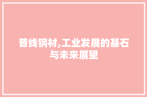 普线钢材,工业发展的基石与未来展望