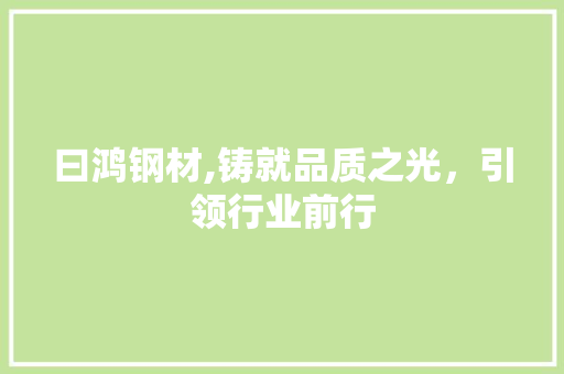 曰鸿钢材,铸就品质之光，引领行业前行