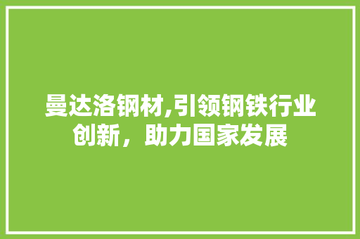 曼达洛钢材,引领钢铁行业创新，助力国家发展