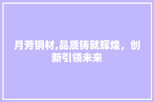 月芳钢材,品质铸就辉煌，创新引领未来