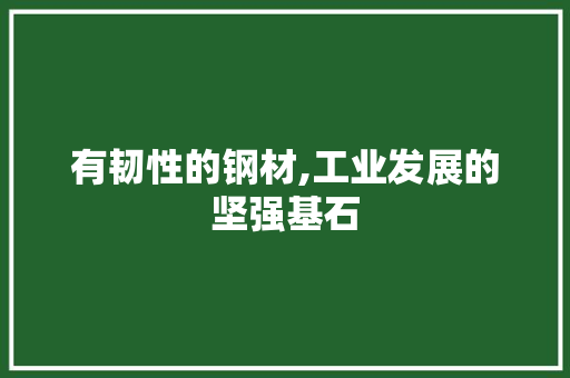 有韧性的钢材,工业发展的坚强基石