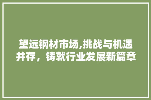望远钢材市场,挑战与机遇并存，铸就行业发展新篇章