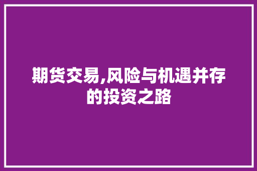 期货交易,风险与机遇并存的投资之路