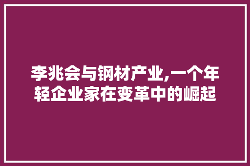 李兆会与钢材产业,一个年轻企业家在变革中的崛起