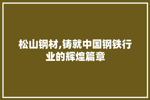 松山钢材,铸就中国钢铁行业的辉煌篇章