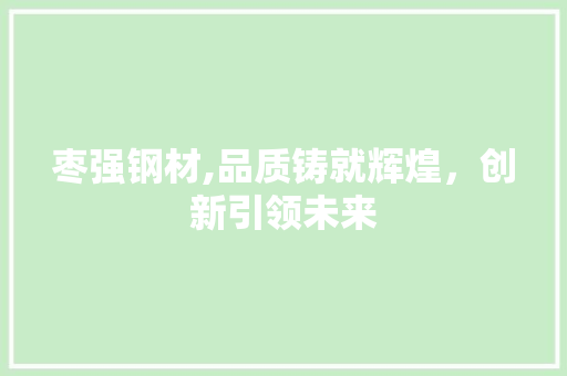 枣强钢材,品质铸就辉煌，创新引领未来