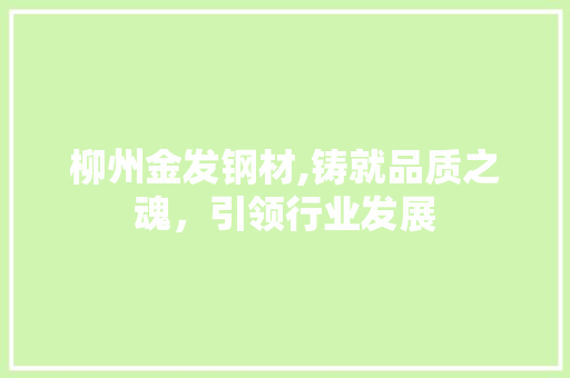 柳州金发钢材,铸就品质之魂，引领行业发展