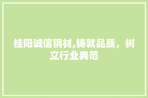 桂阳诚信钢材,铸就品质，树立行业典范