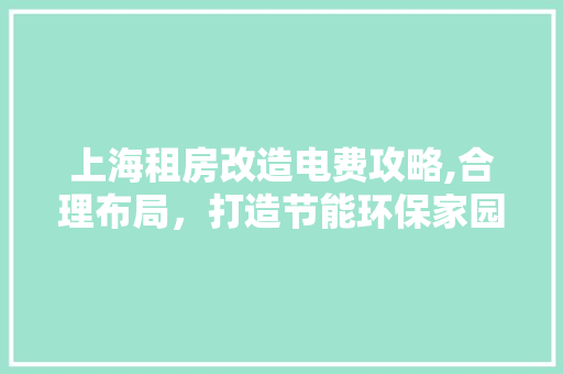 上海租房改造电费攻略,合理布局，打造节能环保家园