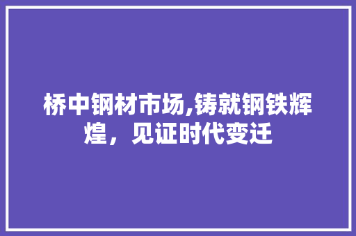 桥中钢材市场,铸就钢铁辉煌，见证时代变迁