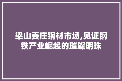 梁山姜庄钢材市场,见证钢铁产业崛起的璀璨明珠