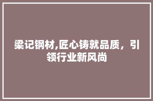 梁记钢材,匠心铸就品质，引领行业新风尚