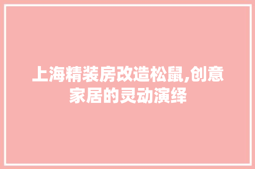 上海精装房改造松鼠,创意家居的灵动演绎