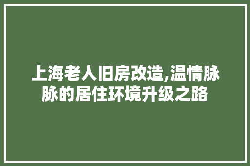 上海老人旧房改造,温情脉脉的居住环境升级之路