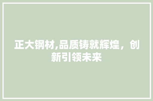 正大钢材,品质铸就辉煌，创新引领未来