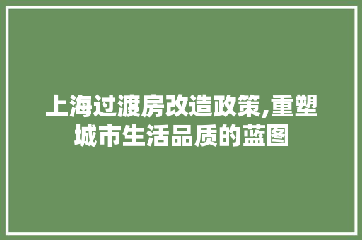 上海过渡房改造政策,重塑城市生活品质的蓝图