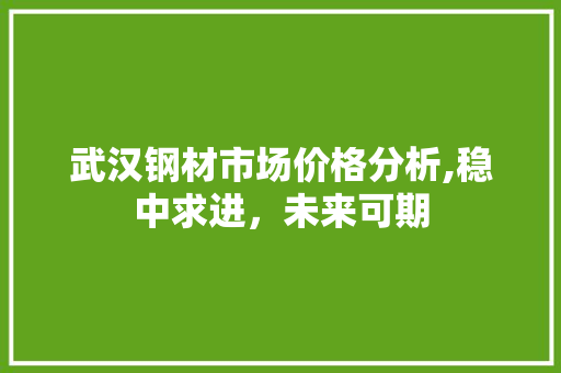 武汉钢材市场价格分析,稳中求进，未来可期