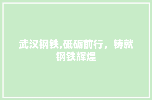武汉钢铁,砥砺前行，铸就钢铁辉煌