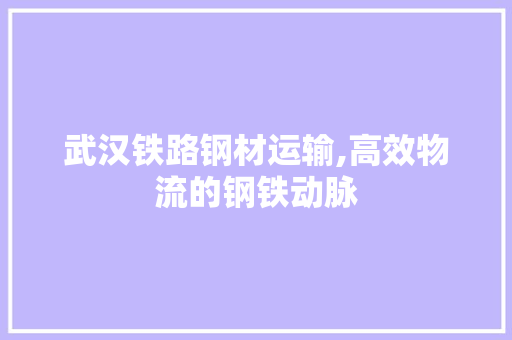 武汉铁路钢材运输,高效物流的钢铁动脉