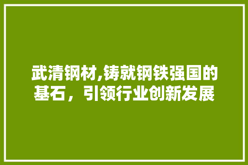 武清钢材,铸就钢铁强国的基石，引领行业创新发展