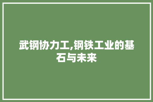 武钢协力工,钢铁工业的基石与未来