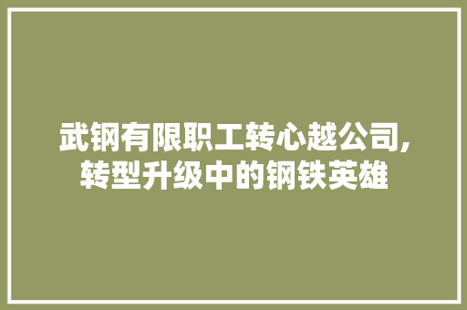 武钢有限职工转心越公司,转型升级中的钢铁英雄