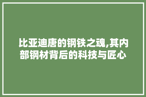 比亚迪唐的钢铁之魂,其内部钢材背后的科技与匠心