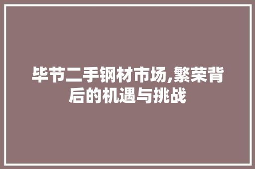 毕节二手钢材市场,繁荣背后的机遇与挑战