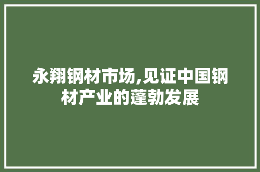 永翔钢材市场,见证中国钢材产业的蓬勃发展