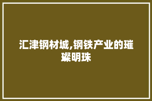 汇津钢材城,钢铁产业的璀璨明珠