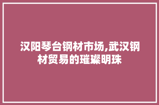 汉阳琴台钢材市场,武汉钢材贸易的璀璨明珠