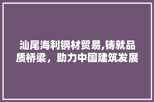 汕尾海利钢材贸易,铸就品质桥梁，助力中国建筑发展